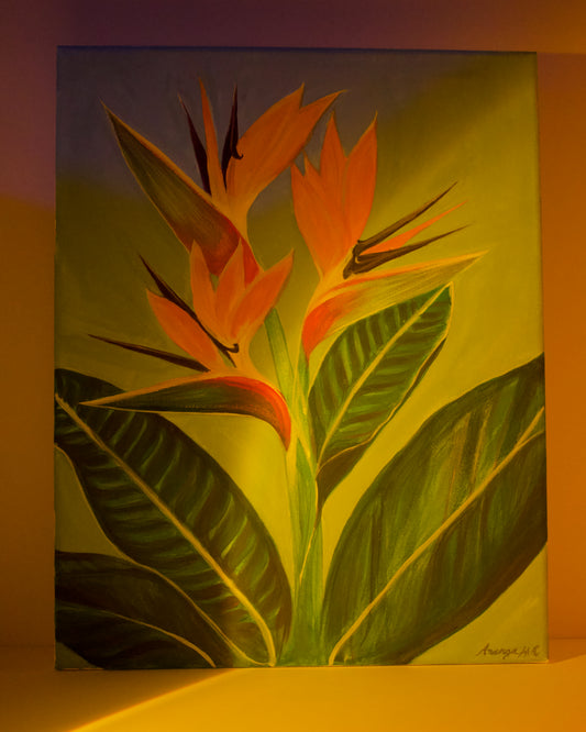 Birds of Paradise