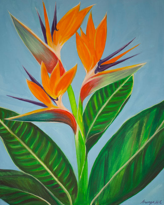 Birds of Paradise